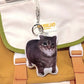 Oiiaioooooiai Cat Voice Keychain with Sound Decompression German Kitten Voice Reverses Cat Voice