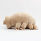 25cm Water Bear Tardigrade Plush Toy Soft Tardigrade Dolls Stuffed Animals Educational Toys for Children Kids Baby Birthday Gift