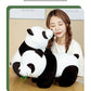 20cm Cute Baby Bamboo Panda Bear Plush Stuffed Animal Doll Cartoon Kawaii Dolls Christmas Gifts