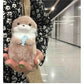 Cute Little Otter Hug Fish Plush Doll – Keychain Pendant Gift