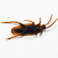 5-50Pcs Halloween Gadget Plastic Cockroaches Joke Decoration Props Rubber Toy Gags Practical Jokes Toys Plastic Bugs Cockroach