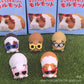 Cute Little Guinea Pig Wearing Sunglasses Blind Box Toys Miniature Kawaii Sunglasses Cavy Doll Model Toys Collect Ornaments