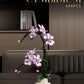 Creative Orchid Cymbidium Eternal Flowers Potted Plant Building Blocks Simulation Phalaenopsis DIY Bricks Toys Valentine's Gift