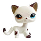 Rare pet toy Stands Short Hair Kitten Dog Dachshund Collie Spaniel Great Dane Original Bobble head toy lps