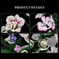 Creative Orchid Cymbidium Eternal Flowers Potted Plant Building Blocks Simulation Phalaenopsis DIY Bricks Toys Valentine's Gift