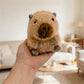 Mini Cartoon Panda Capybara Plush Toy Cute Stuffed Animal Chick Plushies Anime Pig Kitten Doll Soft Kids Toy for Girls Gift Deco
