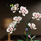 Creative Orchid Cymbidium Eternal Flowers Potted Plant Building Blocks Simulation Phalaenopsis DIY Bricks Toys Valentine's Gift