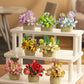DIY MOC Potted Rose Sunflower Plants Succulents Bonsai Tree Gardens Romantic Building Blocks Model Bricks Kid Sets Kits Toy Girl