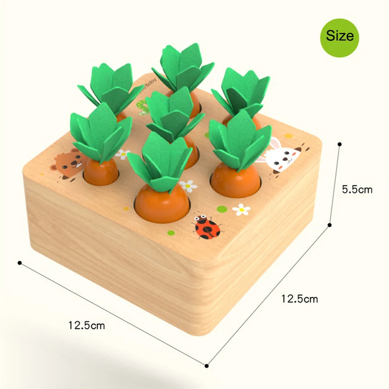 Montessori Toy Set Baby Wooden Pull Carrot Shape Matching Size Cognition Kids Early Education Puzzle Sensory Toy For Children