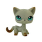 Rare pet toy Stands Short Hair Kitten Dog Dachshund Collie Spaniel Great Dane Original Bobble head toy lps