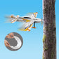 3D Stunt Glider RC Plane Brushless Motor 2.4G Remote Control Aircraft EPP Foam Flight Airplane Toys US Shipping