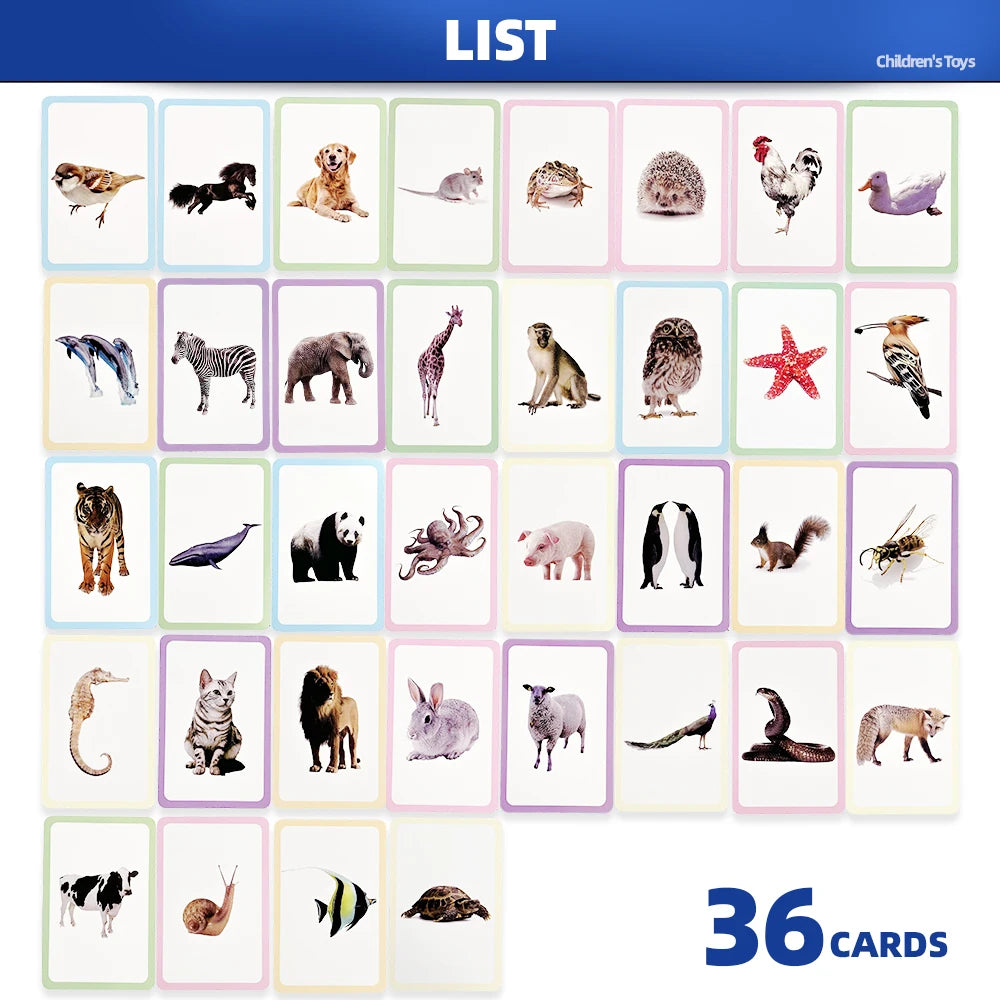 36 Double-Sided Animal Recognition Cards for Kidsren's Enlightenment and Learning through Pictures, Paper-Based Fun Teaching Cards