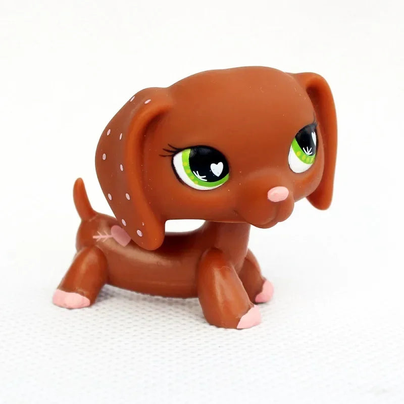 Rare pet toy Stands Short Hair Kitten Dog Dachshund Collie Spaniel Great Dane Original Bobble head toy lps