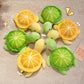 25/35CM Cartoon Simulation Anime Little Lemon Turtle Stuffed Animal Plush Doll Cute Turtle Soothing Kids Sleeping Toys Handmade