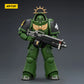 JOYTOY Dark Source Warhammer 40k Salamanders Primaris Heavy Intercessor 1/18 Model Toy JT03677 with Heavy Bolt Rifle Collectible Model
