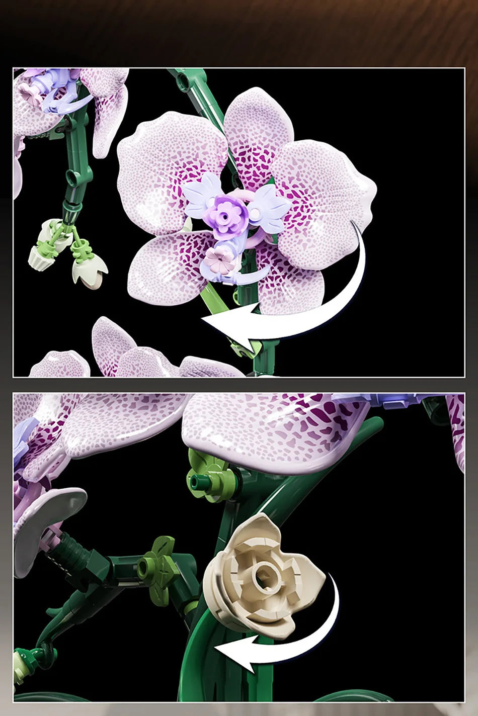 Creative Orchid Cymbidium Eternal Flowers Potted Plant Building Blocks Simulation Phalaenopsis DIY Bricks Toys Valentine's Gift