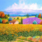 500 Pieces Jigsaw Puzzle Various Landscape Patterns Jigsaw Puzzle Educational Toy for Kids Children's Games Christmas Gift
