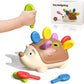 Hedgehog Montessori Toy for Toddlers – Fine Motor & Counting Skills