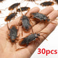 5-50Pcs Halloween Gadget Plastic Cockroaches Joke Decoration Props Rubber Toy Gags Practical Jokes Toys Plastic Bugs Cockroach