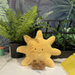 Adorable Smile Face White Moon Yellow Sun Plushie Stuffed Cute Cartoon Weather Plush Toy for Kid Bedroom Decor Sofa Throw Pillow