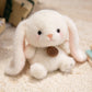 Cute Sitting Animal Plush Toys – Red Panda, Fox, Sloth & More