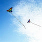 Colorful Butterfly Kite Steering Beautiful Butterfly 1.45m Kite Air Bounce with Kite Line Children's Kite Outdoor Sports