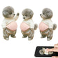 2026 3D Teddy Dog Belly Sticker - Cute puppy wearing orange outfit with soft pink background, silicone self-adhesive