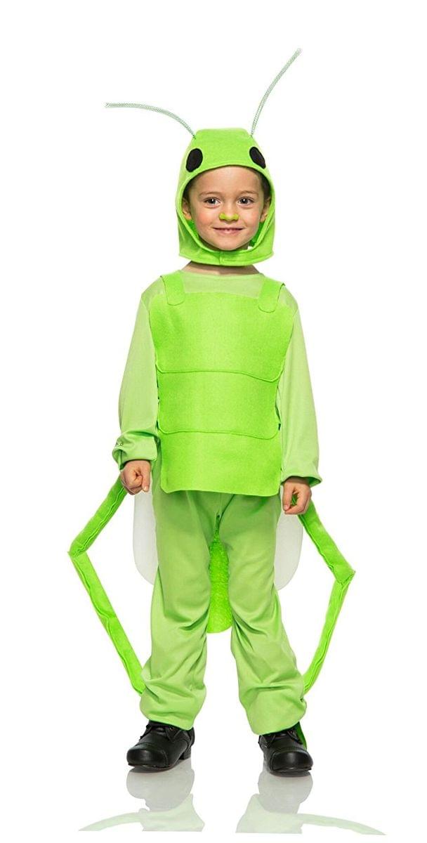 Flying Grasshopper Child Costume 3T
