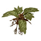 35cm Harries Mandrake Magic Plant Elf Potters Plush Doll Soft Pillow Ornaments Movie Peripherals Stuffed Toys Children Gifts