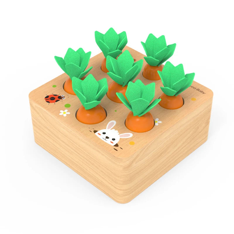Montessori Toy Set Baby Wooden Pull Carrot Shape Matching Size Cognition Kids Early Education Puzzle Sensory Toy For Children