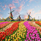 500 Pieces Jigsaw Puzzle Various Landscape Patterns Jigsaw Puzzle Educational Toy for Kids Children's Games Christmas Gift
