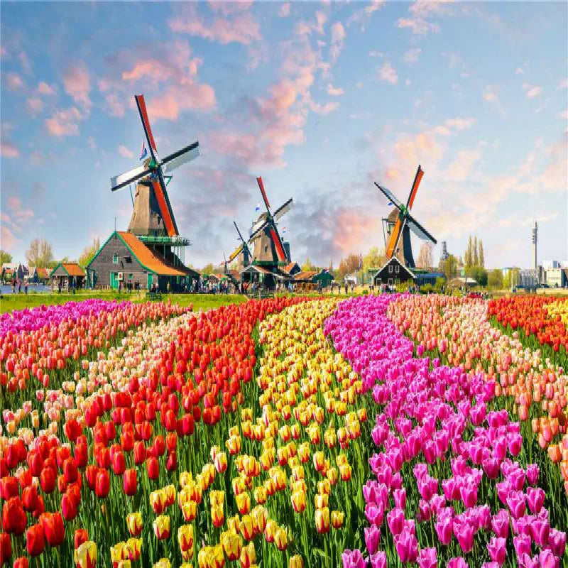 500 Pieces Jigsaw Puzzle Various Landscape Patterns Jigsaw Puzzle Educational Toy for Kids Children's Games Christmas Gift