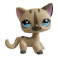 Rare pet toy Stands Short Hair Kitten Dog Dachshund Collie Spaniel Great Dane Original Bobble head toy lps
