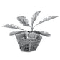 Sago Palm Tree 3D Steel Model Kit Metal Earth