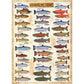 Salmon & Trout 1000 Piece Jigsaw Puzzle Eurographics