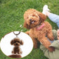 Adorable Cat Hair Storage Pendant Keychain Transparent Cat/Dog Hair Storage Container for Pet Lover DIY Pet Memorial Keychain