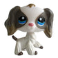 Rare pet toy Stands Short Hair Kitten Dog Dachshund Collie Spaniel Great Dane Original Bobble head toy lps