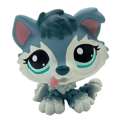 Rare pet toy Stands Short Hair Kitten Dog Dachshund Collie Spaniel Great Dane Original Bobble head toy lps