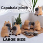 Mini Capybara Pinch Statue Stretchable Squeeze Fidget Capybara Figurines Soft Cartoon Animal Figure Home Decor Creative Gift