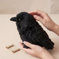 10cm 20cm Kawaii Black Crow Plush Toy Realistic Crow Stuffed Animal Creative Bird Soft Doll for Child and Adults Gothic Room Dec