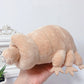 25cm Water Bear Tardigrade Plush Toy Soft Tardigrade Dolls Stuffed Animals Educational Toys for Children Kids Baby Birthday Gift