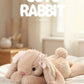35cm New Simulated Shy Rabbit Doll Stuffed Plush Toy Cartoon Anime Cute Pillow Children's Birthday Gift Fun Doll