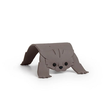 Scaredy Cat