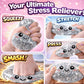 Hot Glitter Dumpling Squishy with Box Dumplings Sensory Squeeze Toy for Stress Relief Fans Gifts