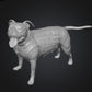 Dogs - Nora - 28mm (SLA001)
