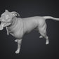 Dogs - Nora - 28mm (SLA001)