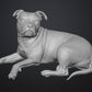 Dogs - Nora - 28mm (SLA001)