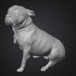 Dogs - Nora - 28mm (SLA001)