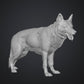 Police/Military Dogs - 28mm (SLA003)