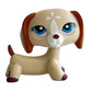 Rare pet toy Stands Short Hair Kitten Dog Dachshund Collie Spaniel Great Dane Original Bobble head toy lps